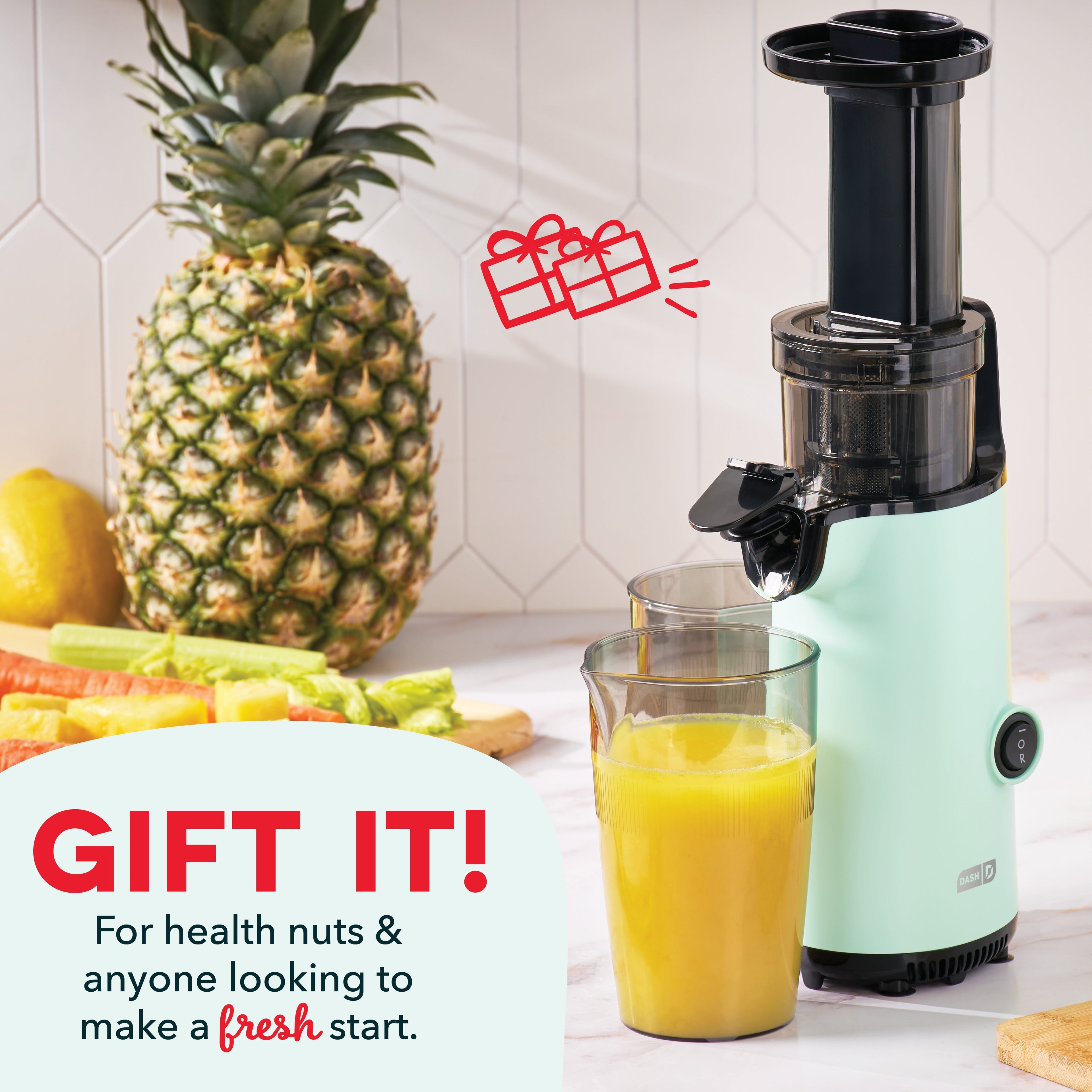 Compact Cold Press Power Juicer